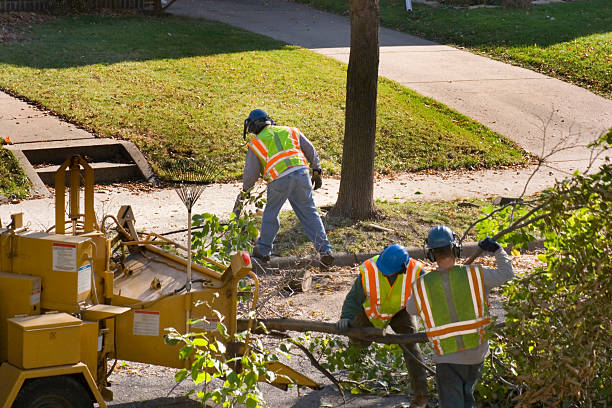 Soil Testing and Treatment in Gibson City, IL